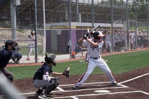 Baseball's Enduring Role